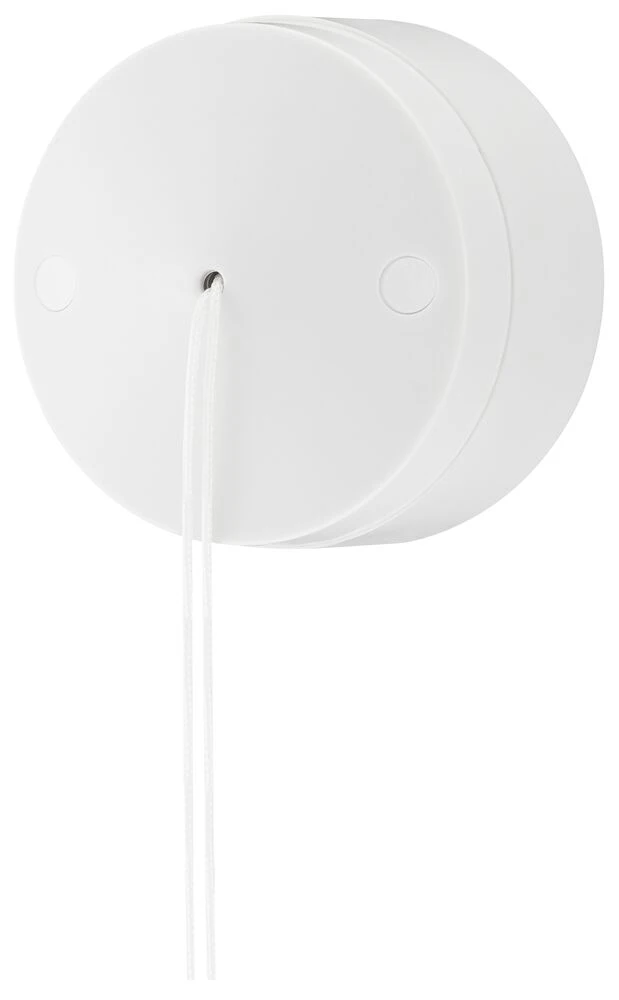 BG Ceiling Switch 6A, 2-Way