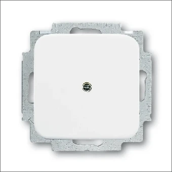2538-214 ABB BUSCH- CPL BLIND MET DRAAGRAAM R WIT
