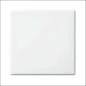 2506-914 ABB BUSCH- WIP WISS KRUIS SI-B