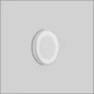  BEGA CEILING LUMINAIRE 3000 K