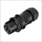  WIELAND RST20I3 KABELSTEKER FEMALE ZW