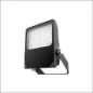  PROLUMIA PRO-FLOOD 100W ZWART 11800 L