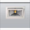 Serie downlight 42166