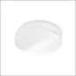  NORTON CDN-F 84 2000LM D290