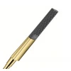 DOUCHETTE HANSGROHE RAINFINITY polished gold optic Powderrain 1 jet