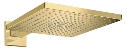 POMME DE DOUCHE HANSGROHE RAINDANCE E 300 MM - 300 MM o polished gold optic mural 1 jet avec bras de douche