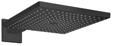 Hansgrohe Raindance douche de tête mural 300 mm noir mat 1 jet avec bras de douche