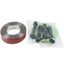 PROLONGE GRUNDFOS A65-10 10 - DN65