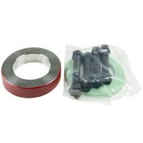 PROLONGE GRUNDFOS A80-25 25 - DN80