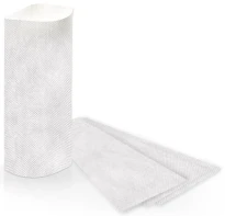 Cintropur WSS filtre de rechange 100 micron (set 5pcs) pour NW25 - prix par set