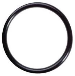 Cintropur WSS O-ring pour cloche pour NW18-NW25-NW32-SL160-SL240