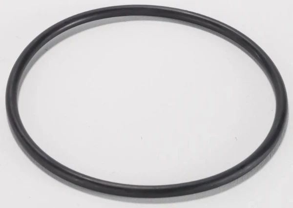 Cintropur WSS O-ring voor koppeling NW50-NW62-NW75