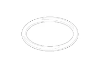 DORNBRACHT WSS O-Ring NBR 70 24,0 x 2,5 mm