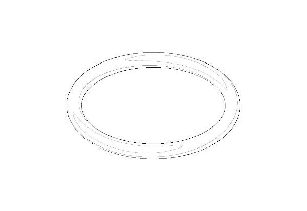 DORNBRACHT WSS O-Ring NBR 70 24,0 x 2,5 mm