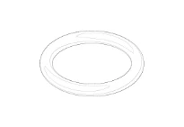 DORNBRACHT WSS O-Ring EPDM 70 16,0 x 2,5 mm