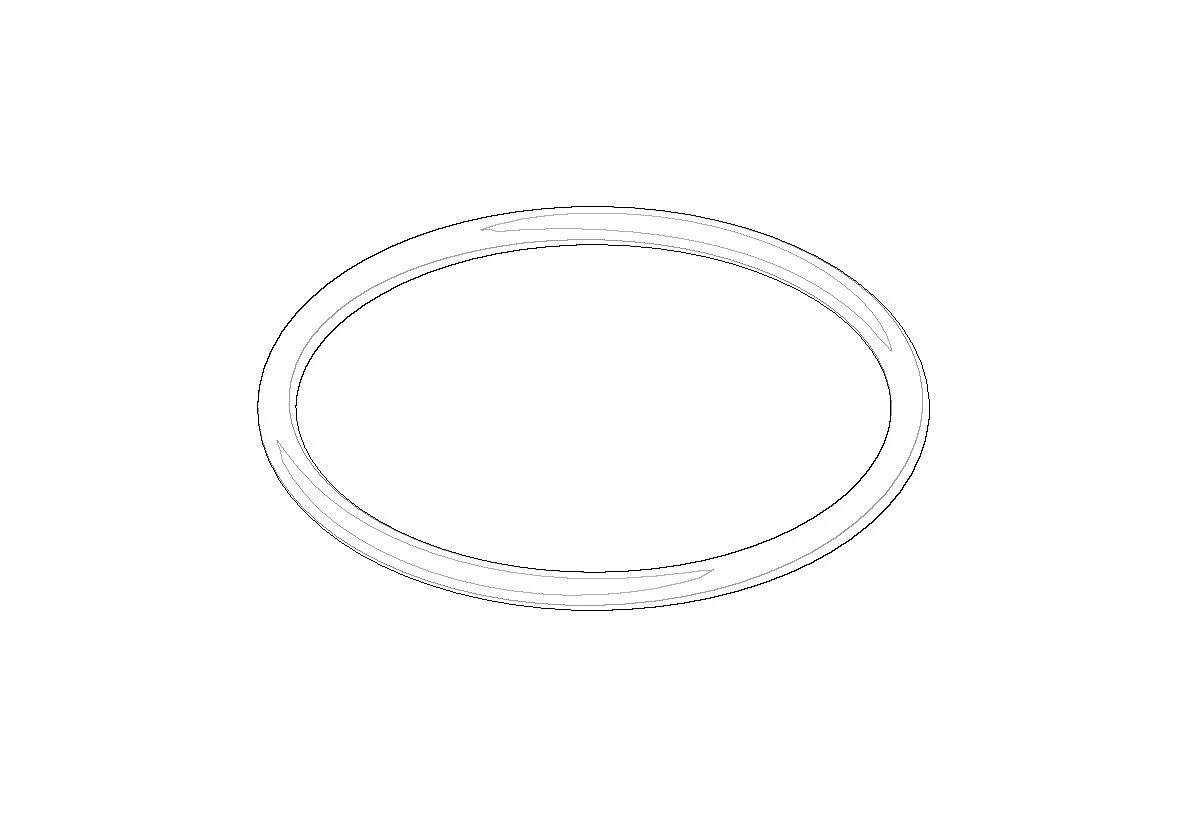 DORNBRACHT WSS O-Ring 31,0 x 2,0 mm
