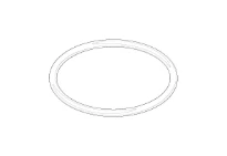 DORNBRACHT WSS O-Ring 31,0 x 2,0 mm