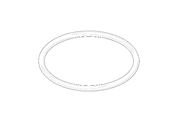 DORNBRACHT WSS O-Ring 31,0 x 2,0 mm