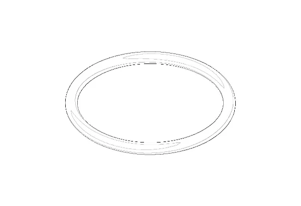 DORNBRACHT WSS O-Ring 24,0 x 2,0 mm