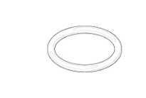 DORNBRACHT WSS O-Ring 21,89 x 2,62 mm