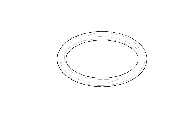 DORNBRACHT WSS O-Ring 21,89 x 2,62 mm