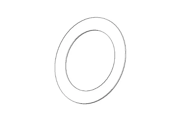 DORNBRACHT WSS Joint Vf 3110 80,0 x 56,5 x 1,0 mm