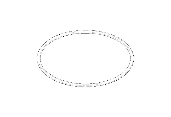 DORNBRACHT WSS O-Ring 42,0 x 1,5 . mm