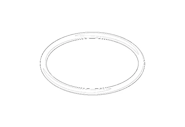 DORNBRACHT WSS O-Ring EPDM 70 29,0 x 2,0 mm