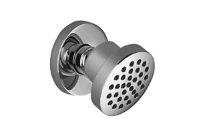 DORNBRACHT Tara. zijdouche 1/2" platin