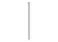 DORNBRACHT WSS Tube 830 mm chromé