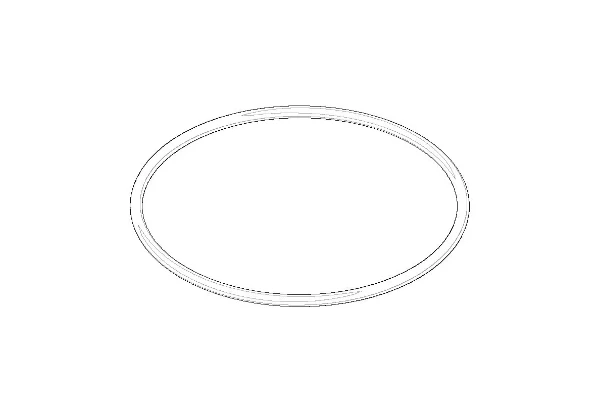 DORNBRACHT WSS O-Ring 52,0 x 2,0 mm