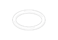 DORNBRACHT WSS O-Ring EPDM 70 22,0 x 3,0 mm