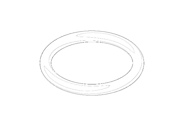DORNBRACHT WSS O-Ring EPDM 70 22,0 x 3,0 mm