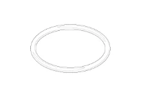 DORNBRACHT WSS O-Ring 22,0 x 1,6 mm