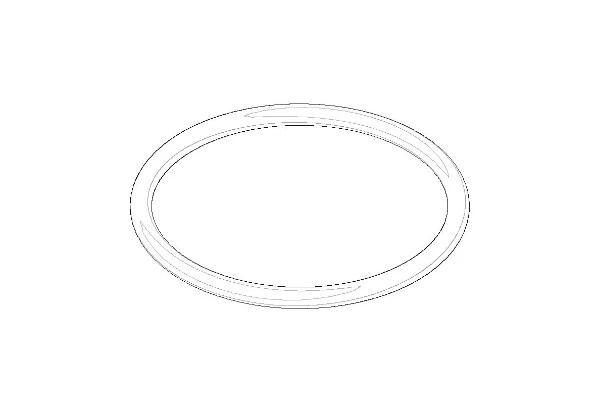DORNBRACHT WSS O-Ring 22,0 x 1,6 mm