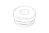 DORNBRACHT WSS Inverseur Ø 21 x 10 mm