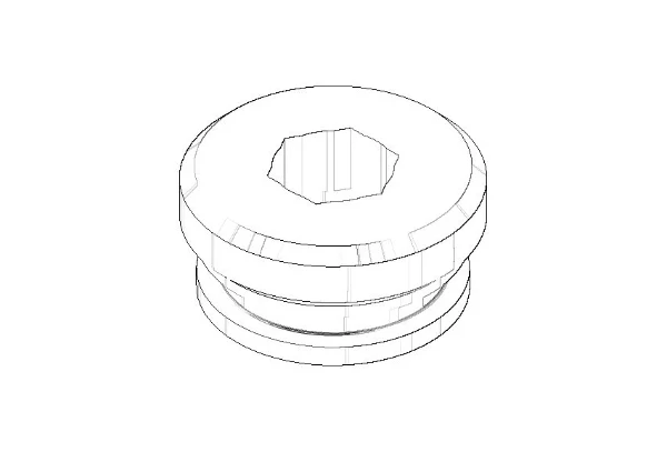 DORNBRACHT WSS Inverseur Ø 21 x 10 mm