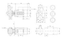Grundfos NB 125-250/220AAF2AESBQQENW3