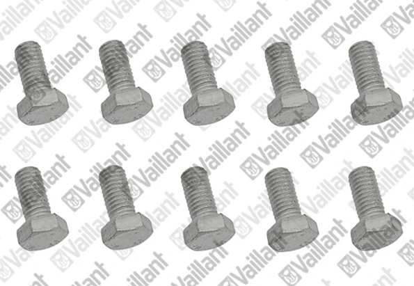 VAILLANT WSS Vis, M10x20, (x10)