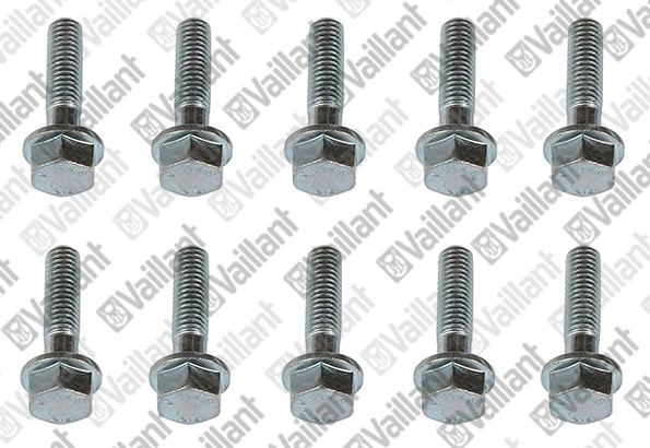 VAILLANT WSS Vis, M8x30, (x10)