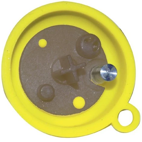 Bosch WSS membrane pour chauffe-eau gaz (vieux modèle) 325 plus