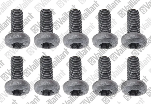 VAILLANT WSS Vis, M8x20-A2, ISO14583, (x10)