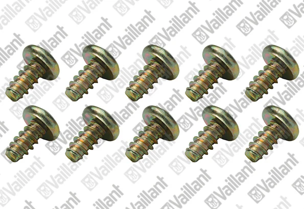 VAILLANT WSS Vis, (x10)