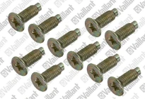 VAILLANT WSS Vis, (x10)