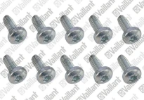 VAILLANT WSS Vis, (x10)