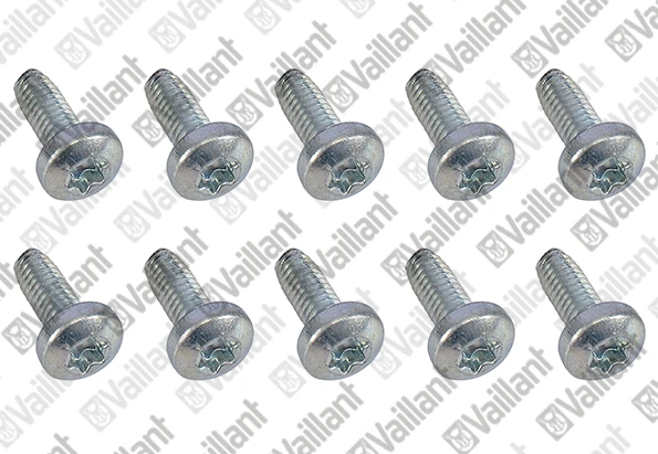 VAILLANT WSS Vis, (x10)
