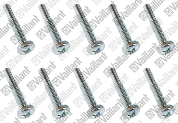 VAILLANT WSS Vis, (x10)