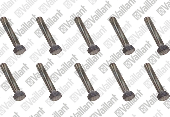 VAILLANT WSS Vis, (x10)