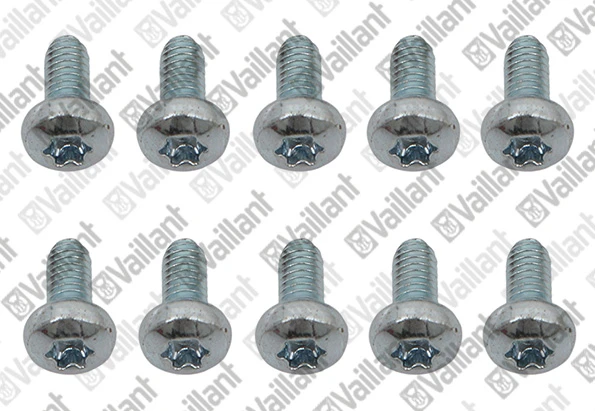 VAILLANT WSS Vis, (x10)