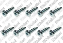 VAILLANT WSS Vis, (x10)